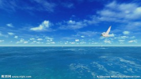 唯美大海视频