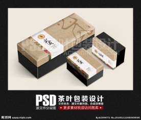 茶包装 大红袍（展开图)