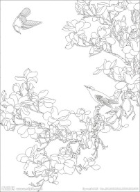 玉兰花鸟(未闭合路径)