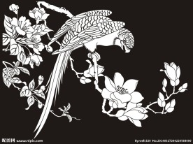 鹦鹉 玉兰花 花鸟