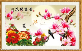 玉兰花