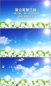 蒲公英动态背景视频