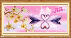 玉兰花