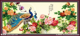 牡丹