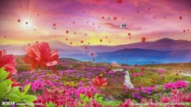 映山红 中国民歌视频