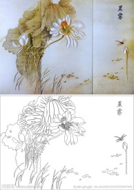 晨雾 荷花 莲花蜻蜓