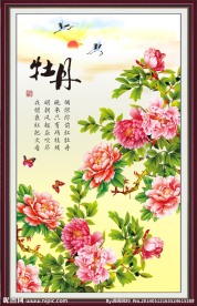 牡丹图