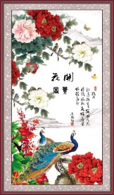 牡丹花 花开富贵