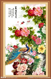 花开富贵