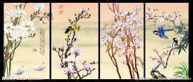 玉兰花 花开富贵
