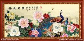 花开富贵 富贵长春