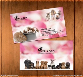宠物名片