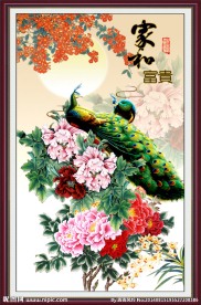 花开富贵