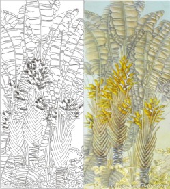 金屏风图片大全 金屏风设计素材 金屏风模板下载 金屏风图库 昵图网soso Nipic Com