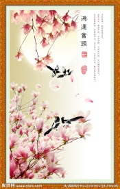 玉兰花