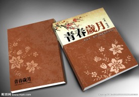 励志小说封面设计