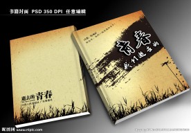 青春励志书封面