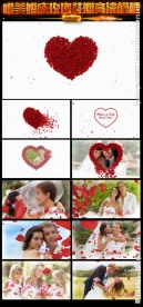 唯美婚庆玫瑰花瓣AE模