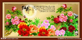 花开富贵