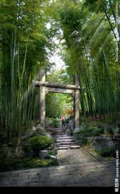 园林景观PSD分层效果