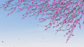 春夏景色花开高清LED