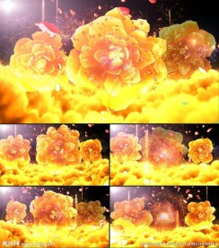 中国风金色祥云牡丹高