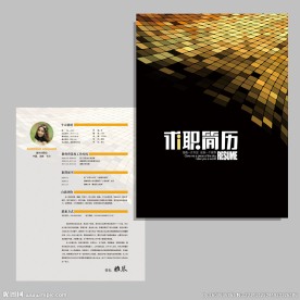 金融投资公司求职简历设计