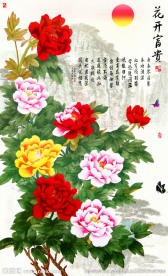 钻石画十字绣花开富贵