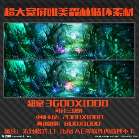 超大宽屏唯美森林循环素材