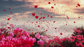 映山红中国民歌晚会演艺VJ视频