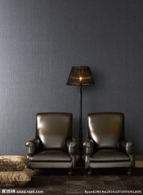家居 灯具 沙发