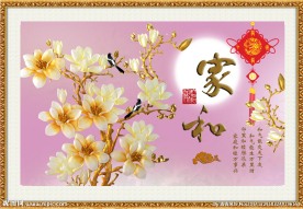 玉兰花