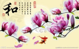 玉兰花