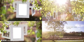 精美实用的家庭相册AE模板