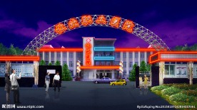 不锈钢 钢架 弧形 网架 效果