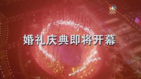 AE奥运版震撼婚礼预告片