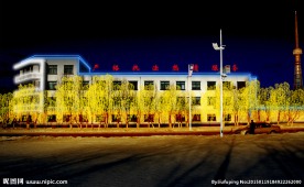 亮化 大庆 萨尔图区