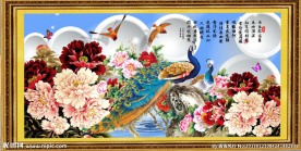 牡丹花