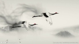 水墨动画竹子游鱼仙鹤led素材