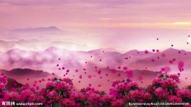 山花烂漫led背景素材