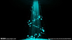 爱情花瓣光束led视频