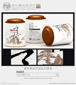 中国风茶罐子包装设计展开图