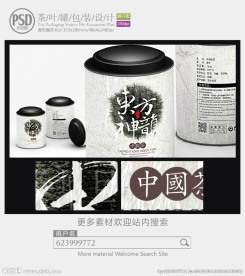 中国风茶罐子包装设计展开图
