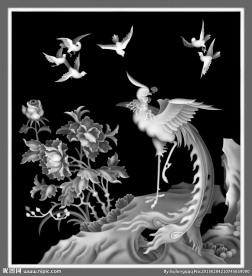花鸟灰度图