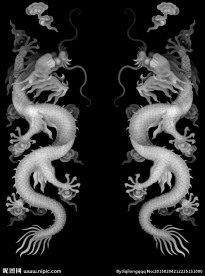 双龙灰度图