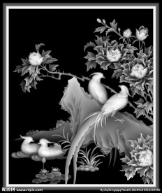 花鸟灰度图