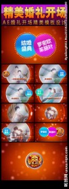 AE婚礼开场精美模板