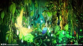 日不落热带雨林