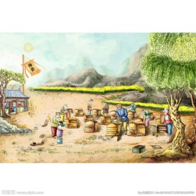 制作蜂蜜 养蜂场 蜜蜂 作坊