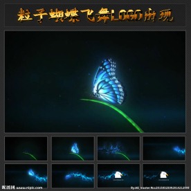 粒子蝴蝶飞舞logo出现